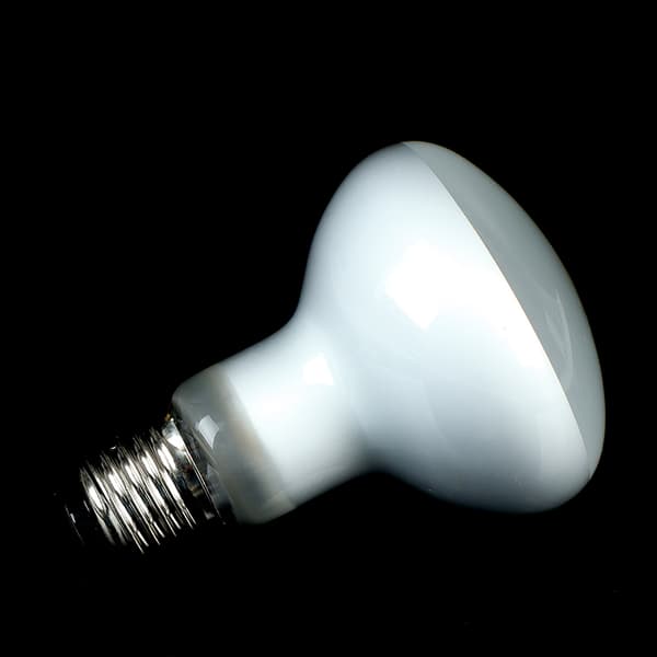 UVA+UVB Krybdyrlampe Skildpadde Solbad UV-lamper Varme 100W 100W