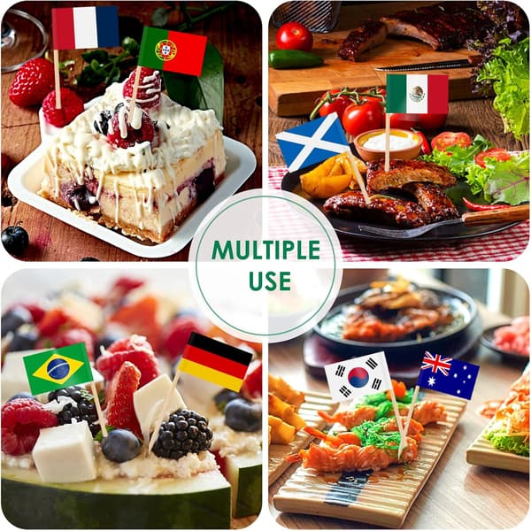 100 Pcs Toothpick Flags Cake Toppers, 48 Countries Cocktail Picks Flags for Sandwich Cupcake Decorations Bar Party