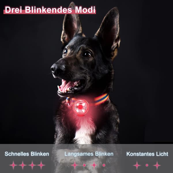 wxsp LED Flashing Light for Dogs, Cats, Rechargeable, USB, 3 Flash Modes, Waterproof, for Pets -