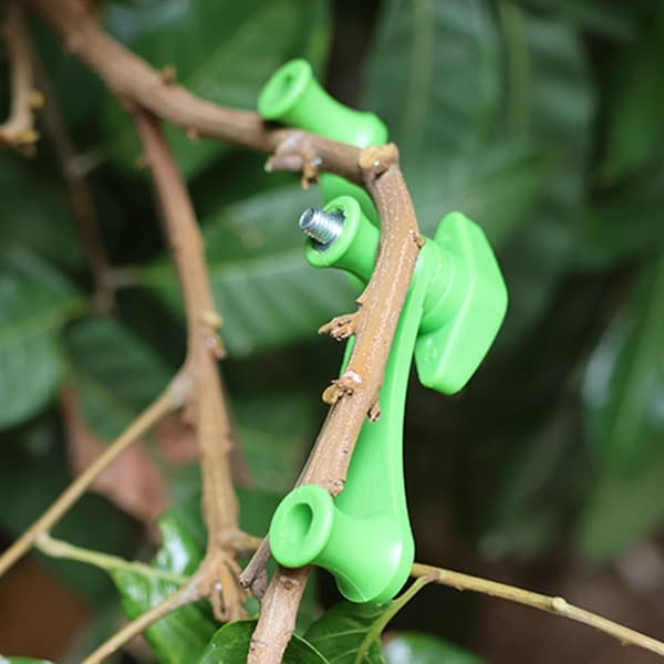 Adjustable Professional Garden Clips for Bonsai, Fruit Trees, Bonsai Design, Training Clips