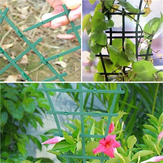 Växtstöd för klätterväxter, vinrankor, pergola och krukväxter