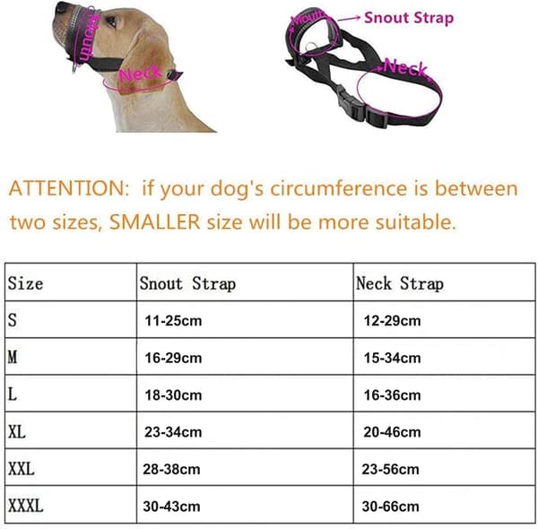 wxsp Dog Muzzle for Small, Medium and Large Dogs, Durable and Adjustable Muzzle to Prevent Biting, Chewing and Barking XL,