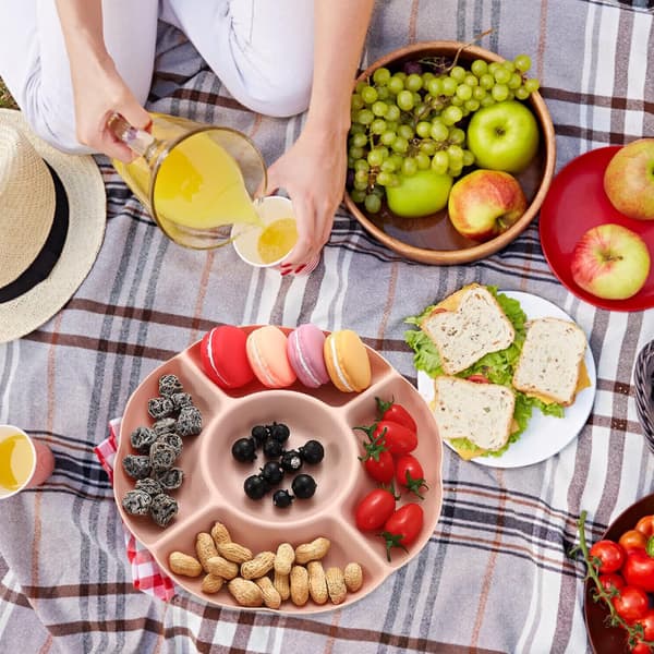 Reusable Snack Plates, Snack Tray, Fruit Platter with 5 Compartments, Tray for Storing Candy, Snacks, Nuts, Fruits, 4 Pieces