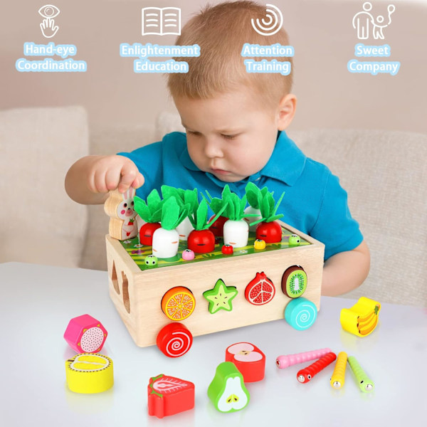 Träleksaker Montessori för småbarn, finmotoriska färdigheter utvecklingsgåva för pojkar flickor förskolebarn