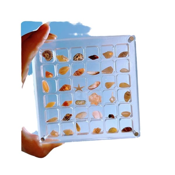 100 Grids Acrylic Magnetic Seashell Display Box, Seashell Storage