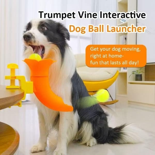 Silent Dog Self-Help Ball Launcher, Bougainvillea Pet Interaction Ball Launcher, Durable PP Material, Dog Training and Boredom Relief Tool