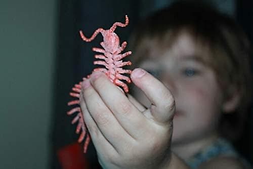 Assorted Lifelike Insects - Kids Biology Science Stem Toys Gift - Rubber Realistic Insect Models