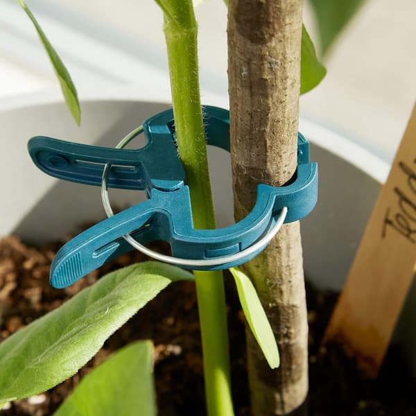 Plant Clips (20 Large + 20 Small) Green for Plants - Climbing Aid for Climbing Plants on Spiral Stake or Bamboo Stick