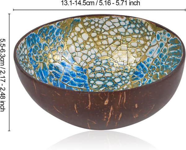 Natural Coconut Bowl with Shell Inlay, Key Bowl and Fruit Bowl