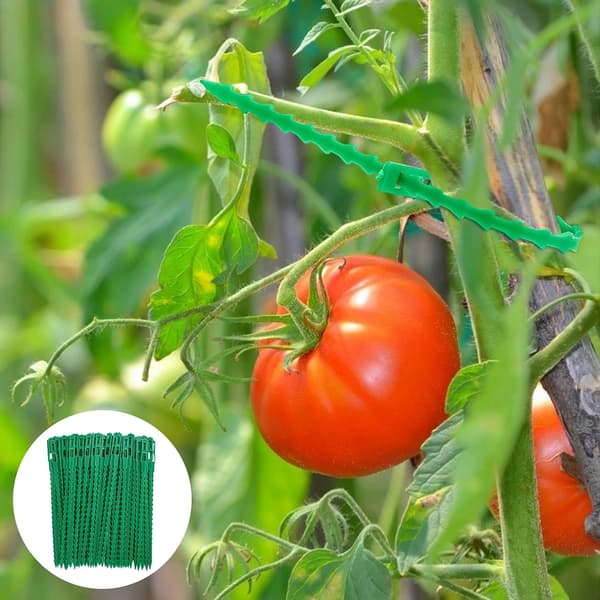 Nipusiteet kiipeilykasveille, 50 kpl, vihreä Green