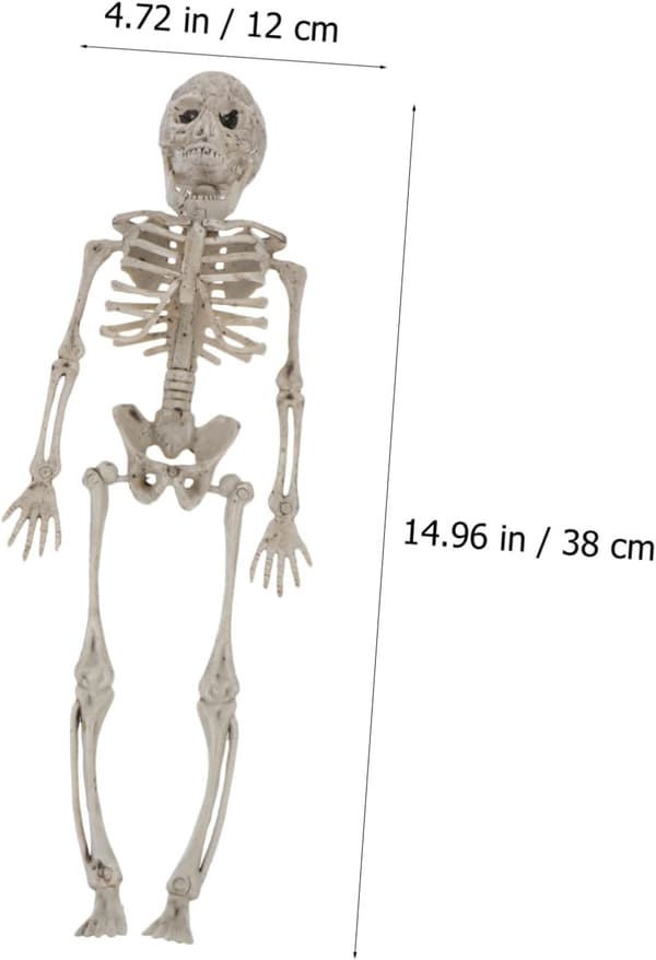 1 st Creative Human Skeleton Prop för Halloween-dekoration Realistisk scenprydnad