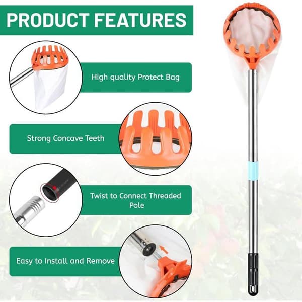 Fruit Picker - 2.4 M - Stainless Steel and Cotton - Protective Head - Harvests Apples, Pears, Cherries, and Oranges