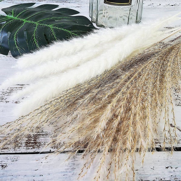 60 stk 30 stk Hvid Pampas 30 stk Sivgræs/naturlig Tørret Pampasgræs Kompatibel med Blomsterarrangementer H