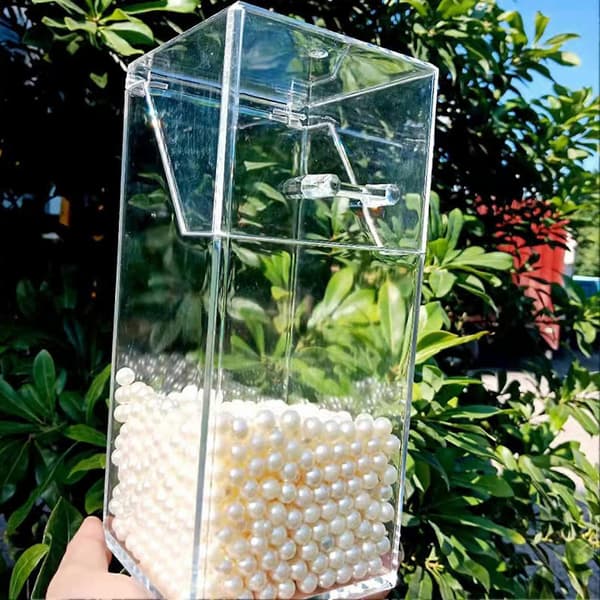 Makeup Brush Holder with Lid and Pearls Clear Cosmetic Brush Organizer Dustproof Makeup Storage Box (White, Small)