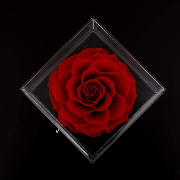 Glasros, Evig glasros Skönheten och Odjuret, Artificiell LED, Stabiliserad blomma, Romantisk LED-ljusslinga, Födelsedagspresent