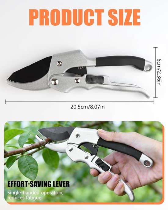 Pruning Shears - Hedge Shears - Branch Shears - Flower Shears - Robust Pruning Shears - Less Force Required Thanks to Gear - 20.1 x 6.5 cm