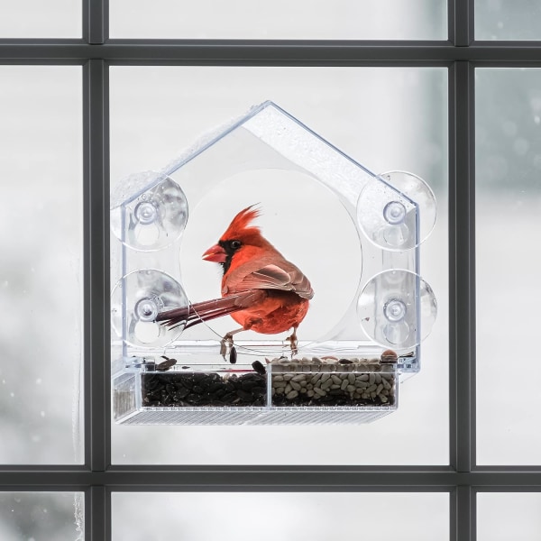 Kirkas muoviikkuna lintujen syöttölaite vahvoilla imukupeilla ulkokäyttöön - Läpinäkyvä ikkunaan kiinnitettävä akryyli lintutalo kissaahvenelle