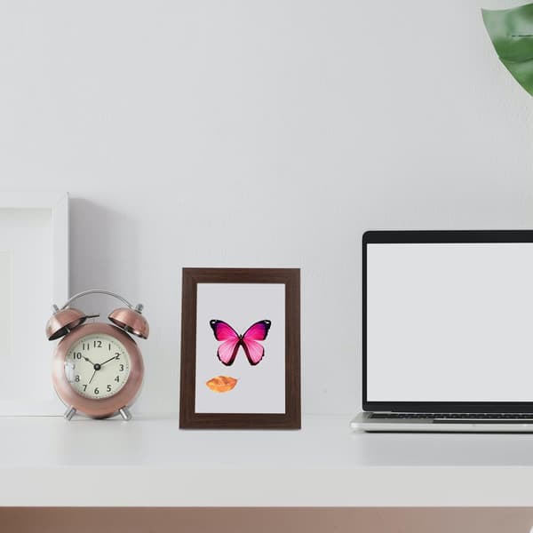10 tommer skyggeboks til tørrede blomster og minder, kompositmateriale