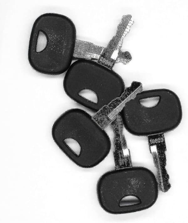 Key 14603 10 pcs Ignition Keys Replacement Keys Fits Fendt, Claas, Liebherr, Zetteleyer, Deutz, M [DB]