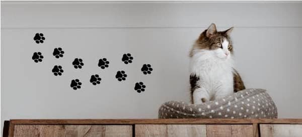 (13×6,6×0,1 cm) Vinyldekaler med katte-/hundepote-mønster