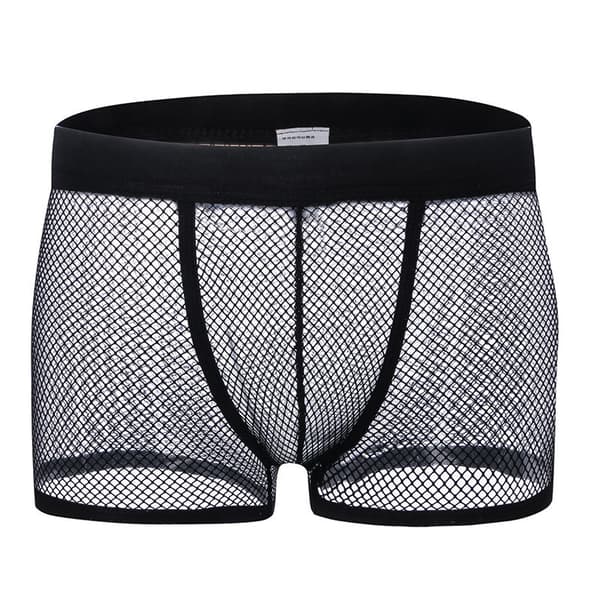 Men's Underwear Sexy Transparent Mesh Boxers Mesh