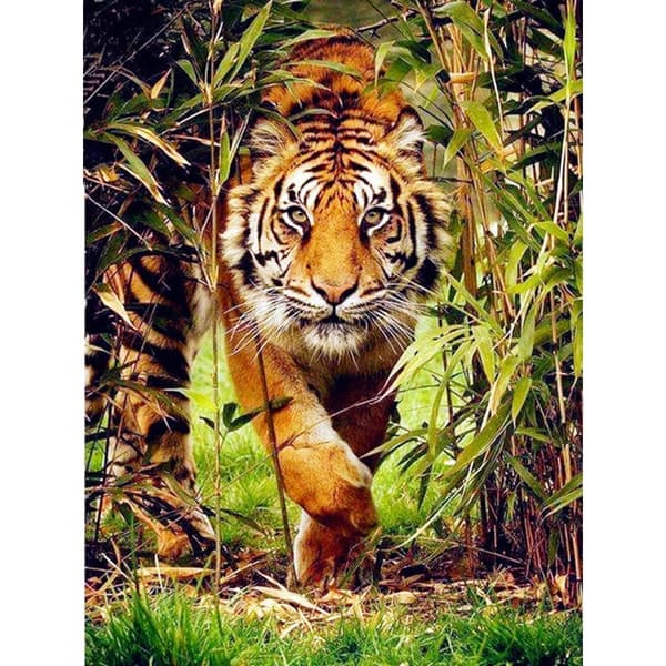 (30x40cm) 5D DIY Diamantmaleri Tiger Korssting Rhinesto