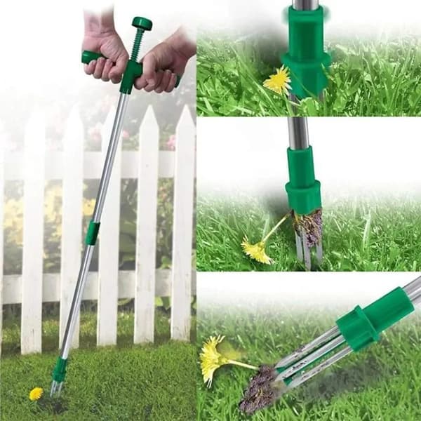 Weeder - Stainless Steel Garden Tool