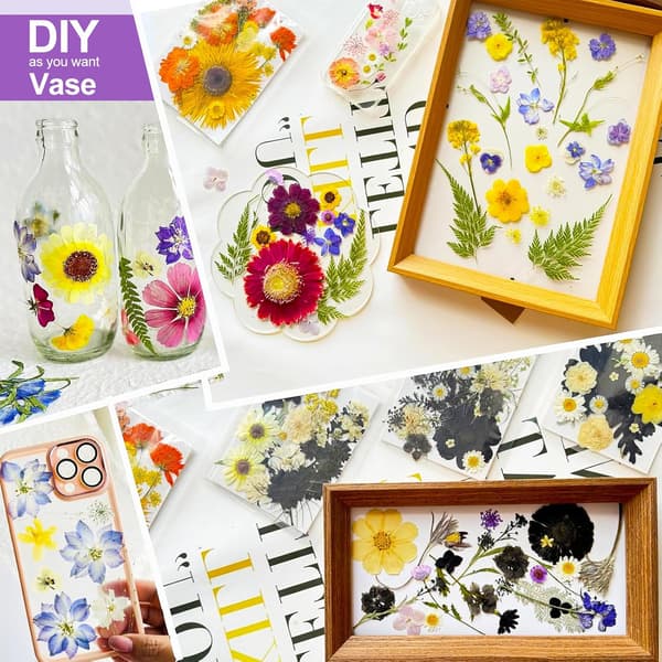 81 stykker tørrede blomster, naturlige tørrede blomster, blandede pressede tørrede blomster, små farverige pressede blomster