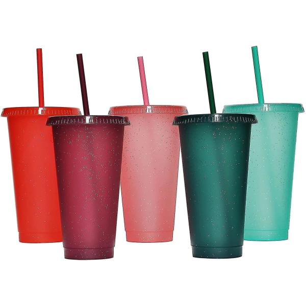 Tumbler med sugerør og låg, vandflaske iskaffe rejsemug kop, genanvendelige plastikkopper, perfekt til fester, fødselsdage, 24oz-5 pak