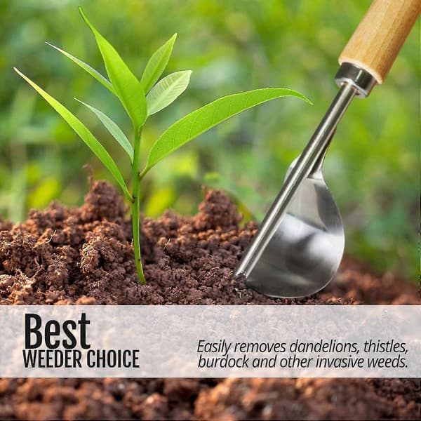 Manual Hand Weeder - Bend-Proof Lever Base for Super Easy Weed Removal and Deeper Digging - Robust Chrome-Plated Steel