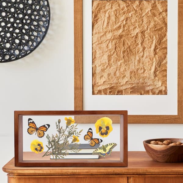Træfotoramme til tørrede blomster DIY Tørret blomsterudstillingsramme Enkel Chic Alsidig