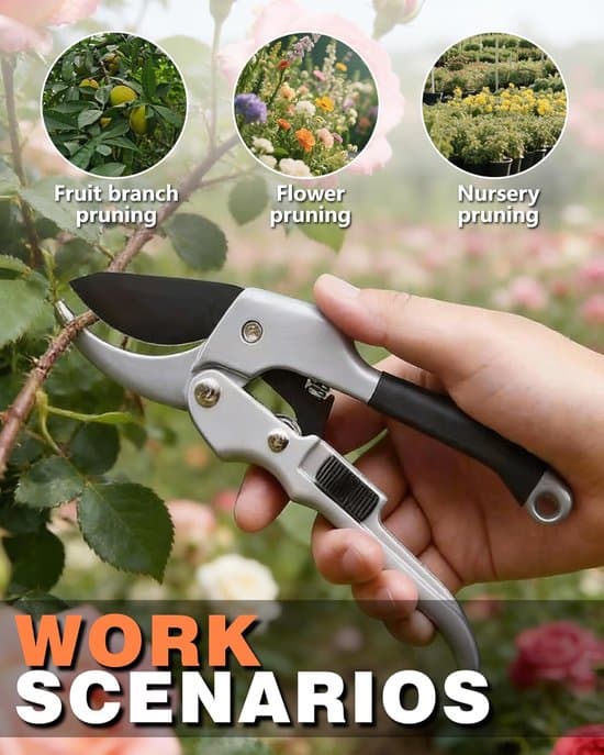 Pruning Shears - Hedge Shears - Branch Shears - Flower Shears - Robust Pruning Shears - Less Force Required Thanks to Gear - 20.1 x 6.5 cm