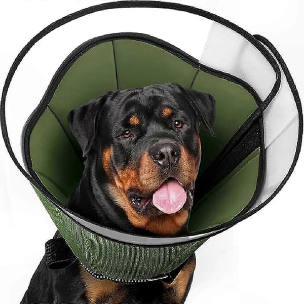 XXL Soft Recovery Collar for Large Dogs - Wound Protection and Healing Support E-Collar Alternative
