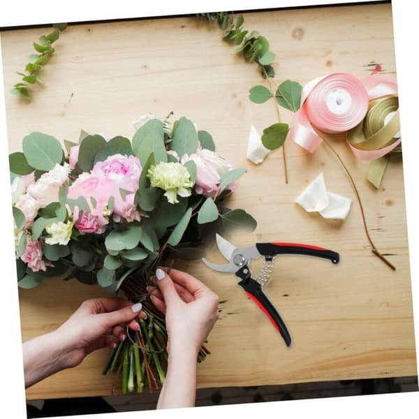Stainless Steel Garden Pruning Shears for Fruit and Bonsai, Sharp Blades, Comfortable Hand Cutting Tool