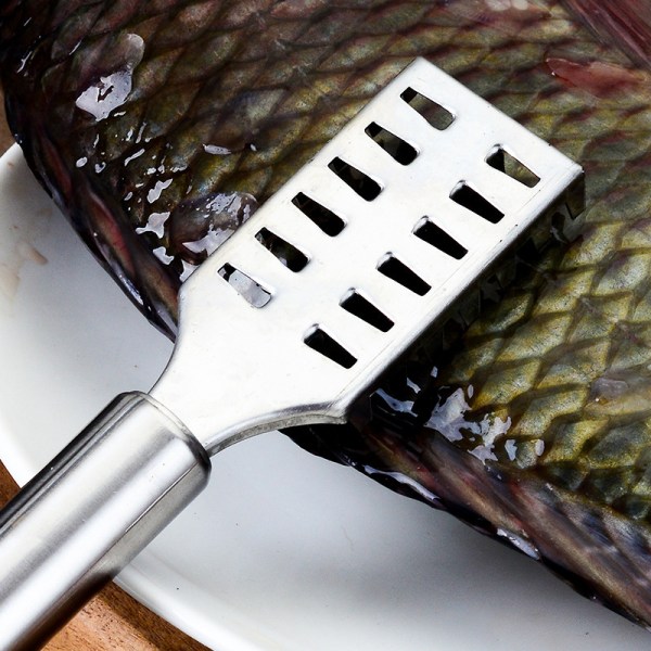 Fiskeskaller Fiskeskalafhøvlerfjerner Skraber Savtandsuger rustfrit stål med fast greb Køkkenværktøjsvægtskraber