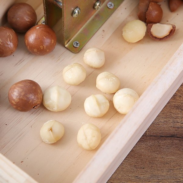 Macadamia nøtteknekker, valnøttskjærer, åpning av macadamia nøtter