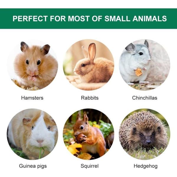 Apple Tree Chew Sticks, Natural Business Toy, Rabbits, Small Animals, Molar Branch, Hamster (40 pcs)