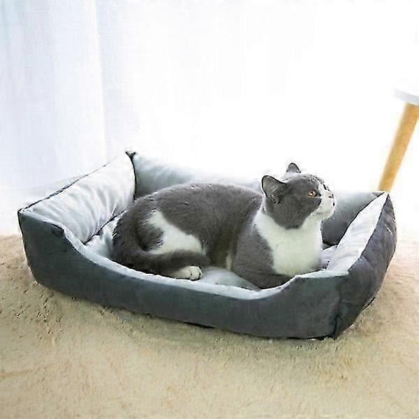 Orthopedic dog bed with memory foam and removable, washable rim