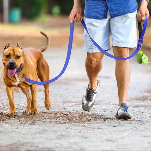 Double-Sided Reflective Dog Leash, Padded Nylon Handle for Walking, Training Leash for Medium and Large Dogs, Navy Blue, 1.5 m