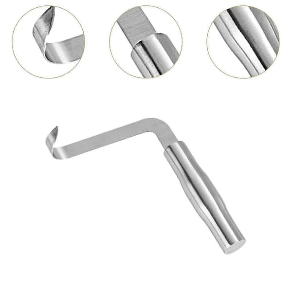 Seashell Opener Tool, Meat Extractor, Portable Seafood Tool for Home and Restaurant