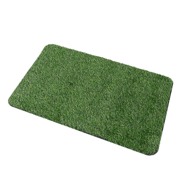 Naturlig matta Dekorativ Gräsmatta Mikro Landskap Gräsmatta Framdörr Grön Gräs Entré Golvmatta Absorbera Green 60x40cm