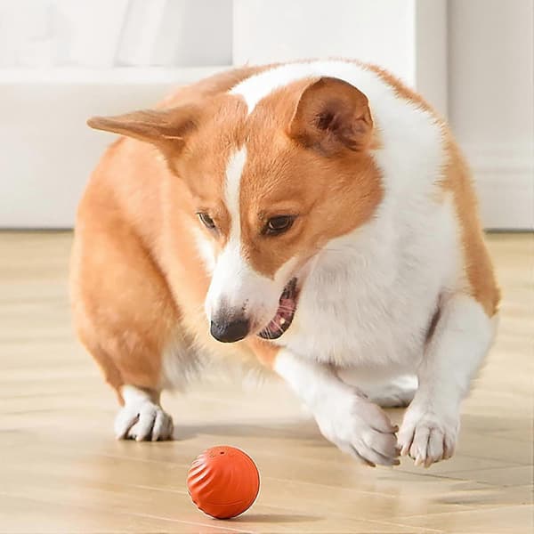 Self-rolling ball for dogs, smart self-propelled ball with 2 modes, long battery life, new electric intelligent teasing cat ball with replaceable shell