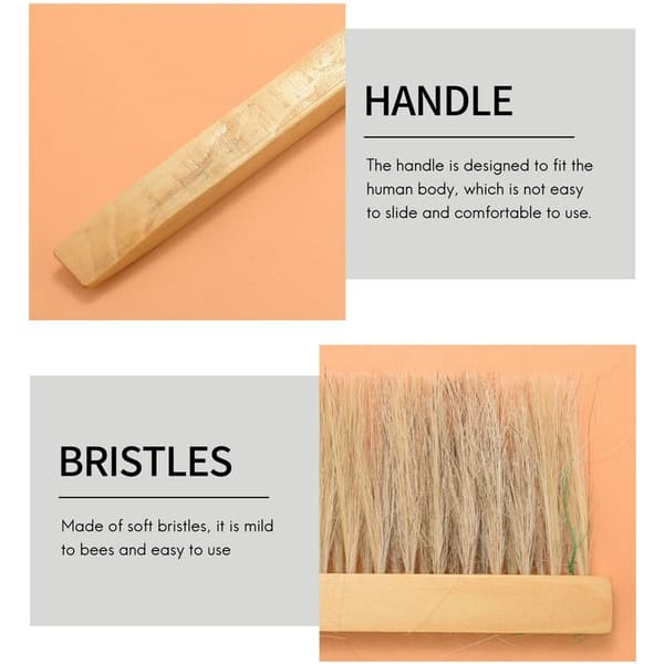 Bee brush with hog bristles and wooden handle - Beekeeping hive tool