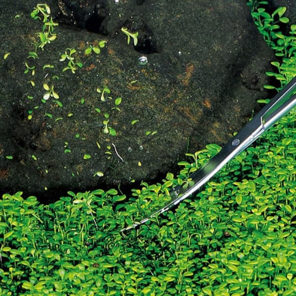 Rustfrit Stål Buede Spidssakse Plantebeskæringssakse Buede Akvarium Plante Sakse Plante Cutter Sakse Plante Clippers
