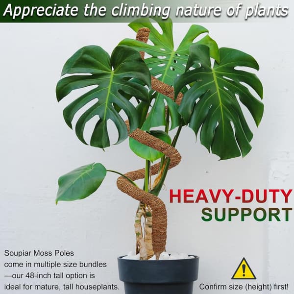 Moss Pole for Plants 120 cm, Bendable Moss Stick for Climbing Plants Monstera Ivy 2-pack