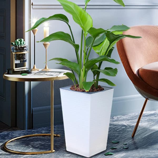 Self-watering pot | Pot for aloe vera, pot for tall plants; kitchen; suitable for beginners. (DB)