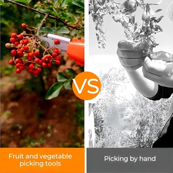 Garden Pruning Shears, Fruit Picker - Ergonomic Vegetable Harvesting Tool for Cutting Branches, Pruning and Harvesting