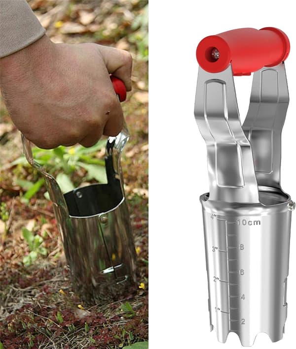 Løkplanter - Ideell løkplanter for planting