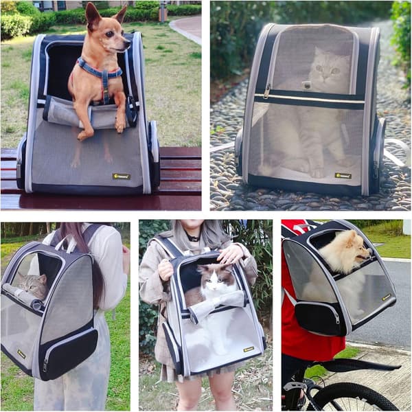 Innovative boble-rygsække til kæledyr, transporttasker til katte og hunde (sort)