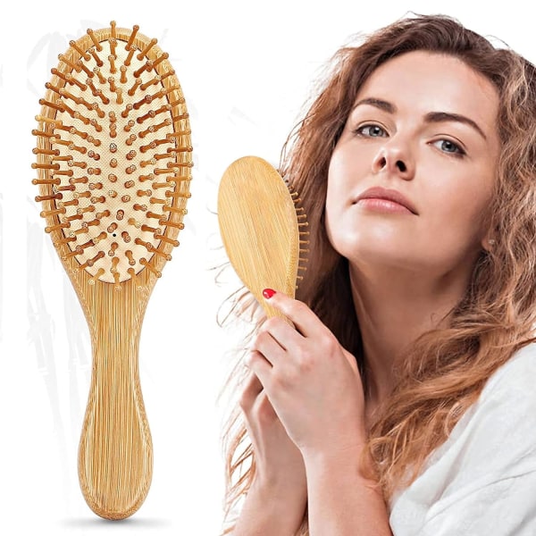 Antistatisk hårborste för hårborste för skönhetssalonger för kvinnor, lätt resedusch, våt och torr.